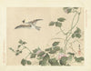 Kudzu and great tit (1892)