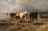 Kühe am Seeufer (1889)