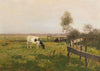 Kühe auf der Weide