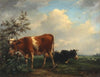 Kühe Auf Der Weide