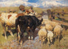 Kühe und Schafe am Gatter (1897)
