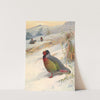 Kuser’s Blood Partridge (1918-1922) by Archibald Thorburn