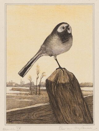 Kwikstaart op paal