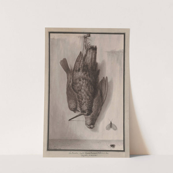La becasse, le petit pigeon couronné, la perdrix de mer, le papillon et mouche (1777-1825) by Jean Jacques Lequeu