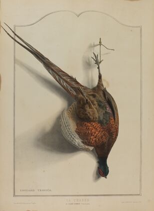 La Chasse; Le Faisan Commun
