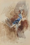 La danseuse