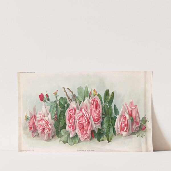 La France roses (1903) by Paul de Longpre