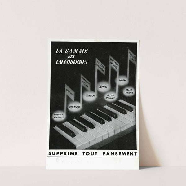 La gamme des Laccodermes