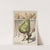 La poire. – M. Thiers by Zut (Alfred Le Petit)