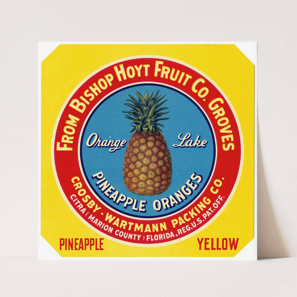 Label for Orange Lake Pineapple Oranges – Yellow (1930-1950)
