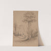 Lace bark trees, Hawkeshead,Hutt Valley by William Swainson