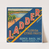 Ladder Brand Florida Citrus Fruit Label (1930-1950)