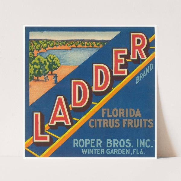 Ladder Brand Florida Citrus Fruit Label (1930-1950)
