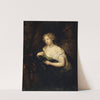 Lady in front of a Mirror by Caspar Netscher