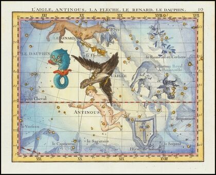 L’Aigle, Antinous, La Fleche, Le Renard, Le Dauphin (Aquila, Sagitta, Vulpecula & Anser Delphinus) (1776)