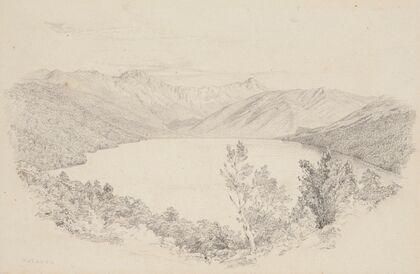 Lake Rotoroa