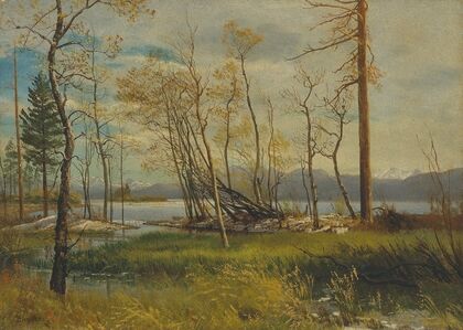 Lake Tahoe (1872) — size preview