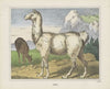 Lama (1829-1880)