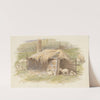 Lambing Time by Alfred W. Cooper