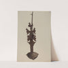 Lamp by Christabel Scrymser