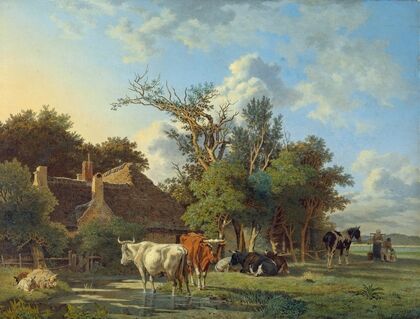 Landscape