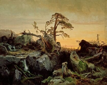 Landscape