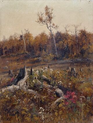 Landscape
