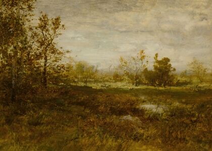 Landscape