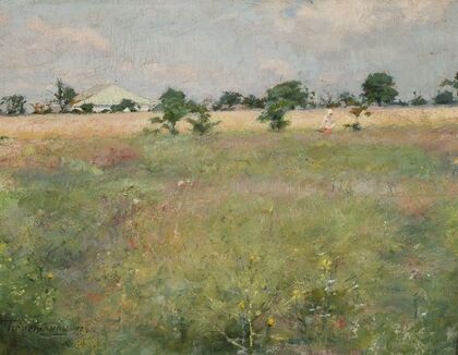 Landscape