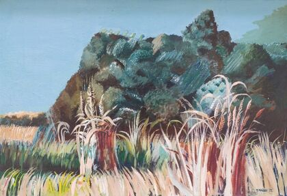 Landscape