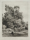 Landscape (1864)