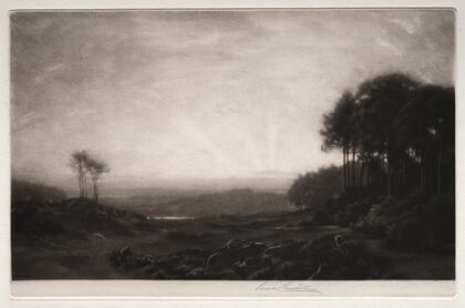 Landscape