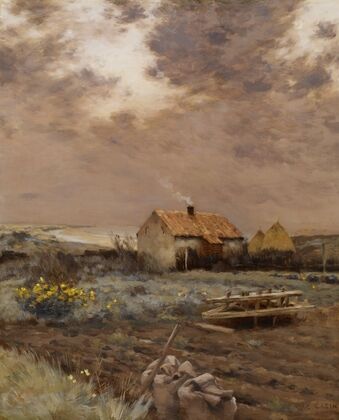 Landscape