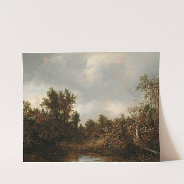 Landscape (ca. 1646) by Jacob van Ruisdael
