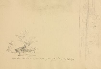 Landscape and Tree Studies (verso)