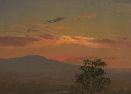 Landscape at woods