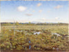 Landscape from Lapland