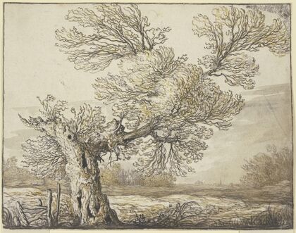 Landscape near Dordrecht