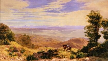 Landscape, Nelson