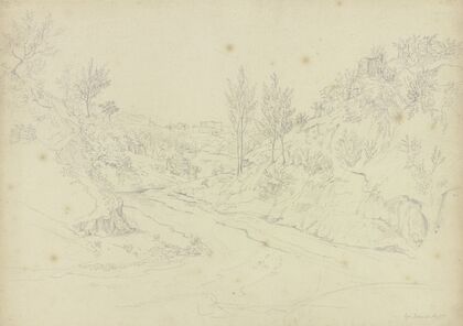 Landscape on Ischia