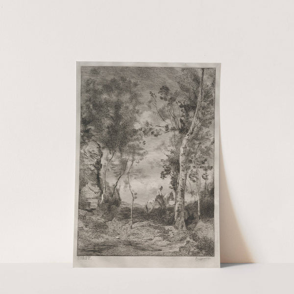 Landscape, or The White Horse, after Corot (c. 1858) by Félix Bracquemond