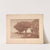Landscape, Plate 8, Remarque, Pansies (1892–1893) by Charles Marie Dulac