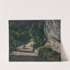 Landscape. Road with Trees in Rocky Mountains (1870 – 1871) by Paul Cézanne