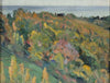Landscape study