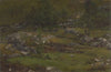 Landscape Study