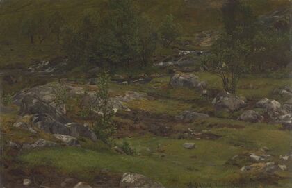 Landscape Study