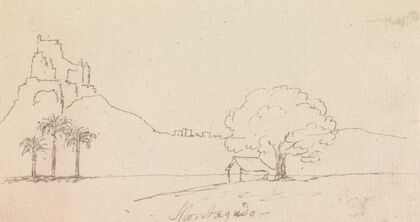 Landscape View with Palm Trees