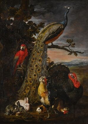 Landscape with a peacock, parrot, chicken, turkey, two rabbits and a guinea-pig