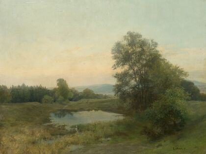Landscape with a swamp