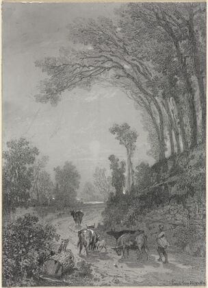 Landscape with Cows
